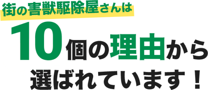 街のネズミ駆除屋さんは10個の理由から選ばれています！