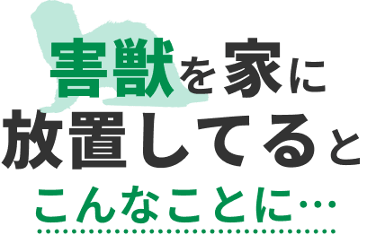 ネズミを家に放置してるとこんなことに…