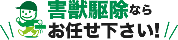 ネズミ駆除ならお任せ下さい！