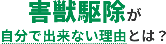 ネズミ駆除が自分で出来ない理由とは？