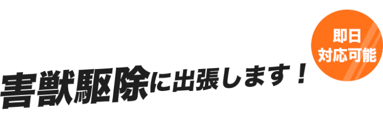 日本全国どこでもネズミ駆除に出張します！即日対応可能