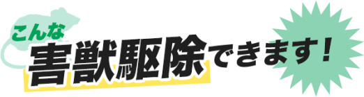 こんなネズミ駆除できます！