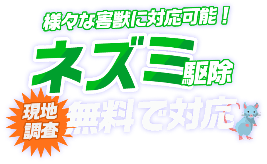 様々なネズミに対応可能！ネズミ駆除 現地調査 無料で対応